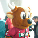 �摜���N���b�N���Ă�������